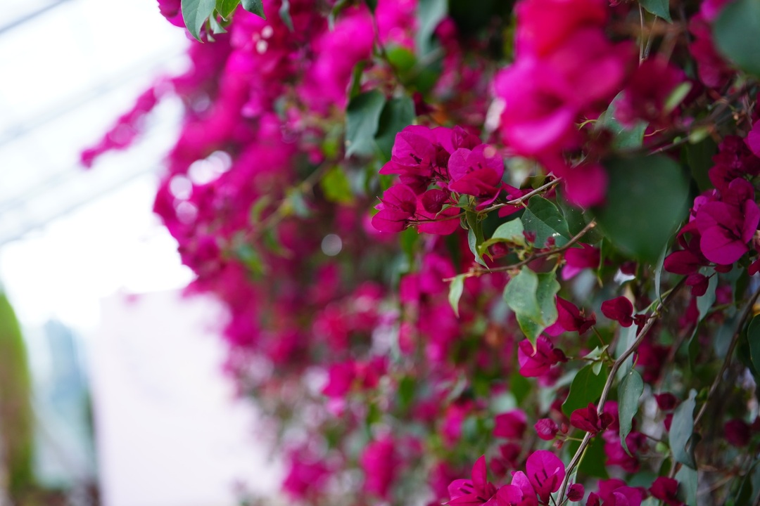 Thumb 28ac40e2 797c 4991 b97a 1fce15ec5b19