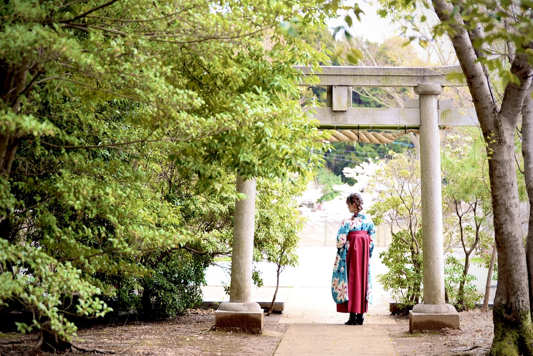 Thumb 78dd349f a5a6 41a3 a475 c2bcc90c68ca