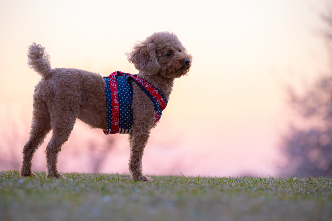 Thumb 311820fc 53c4 4def bfab 04272c92f9bf