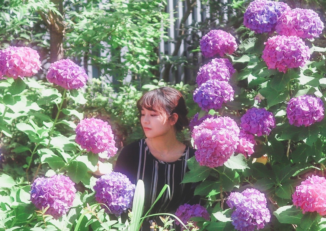 Thumb cda7fb00 19a1 46fe ab94 e72997f6e474