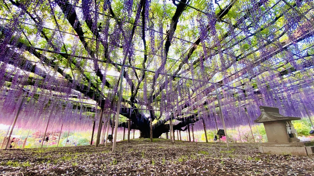 Thumb 4b5f32f1 297c 4eef 8e44 f161bd1143ea