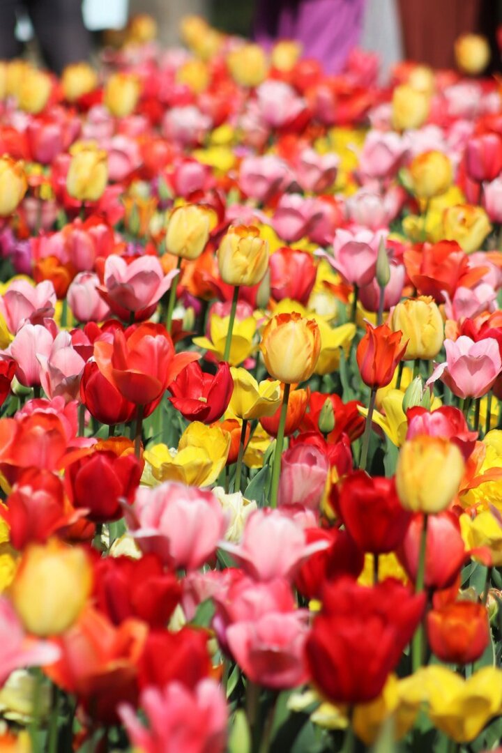 Thumb 154383ab 6020 448c 8af2 e62f32f88b29