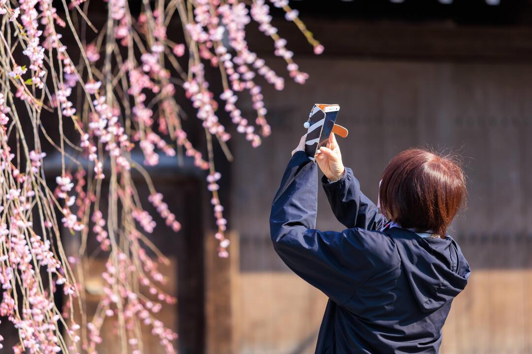 Thumb 814cdb95 e76f 485c be66 0ae587223211