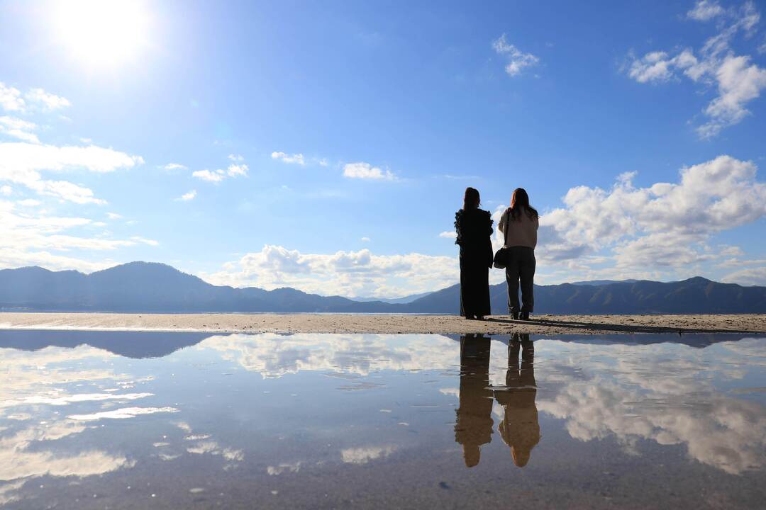 Thumb 007b6c97 8a2d 4229 99ee f73d966eb5a1