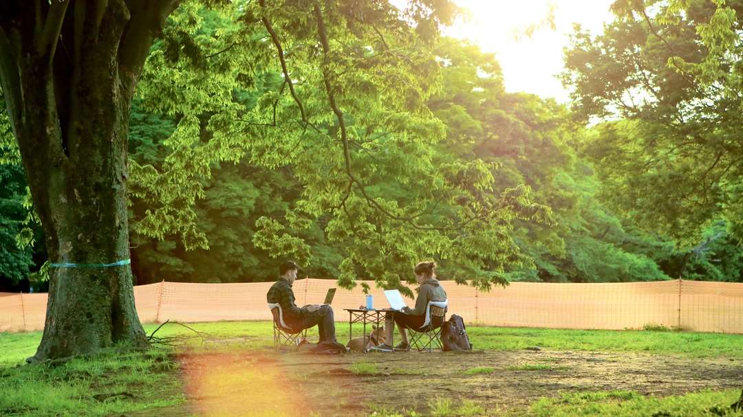 Thumb c68a81c2 dd1b 4b30 9936 17ab0f0a01f9