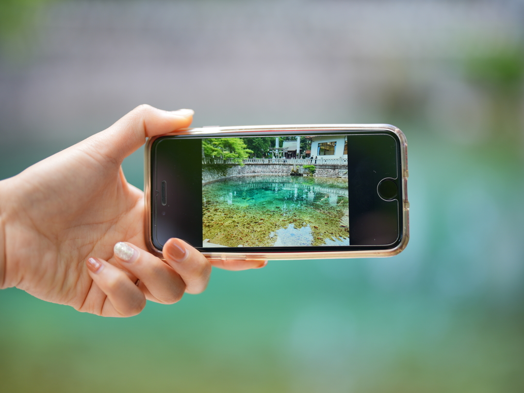 Thumb 5c4a2020 2a01 496e a39d 22a9f707b0d2