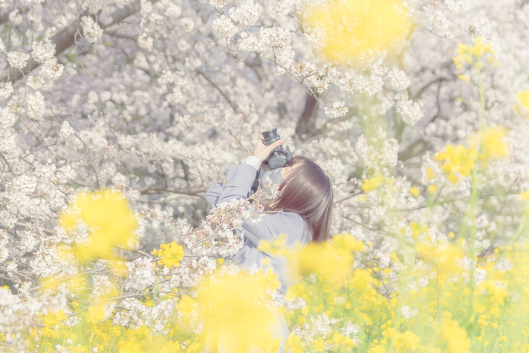 Thumb fd3fa618 bf4b 49ab 9c70 4756b92ec114