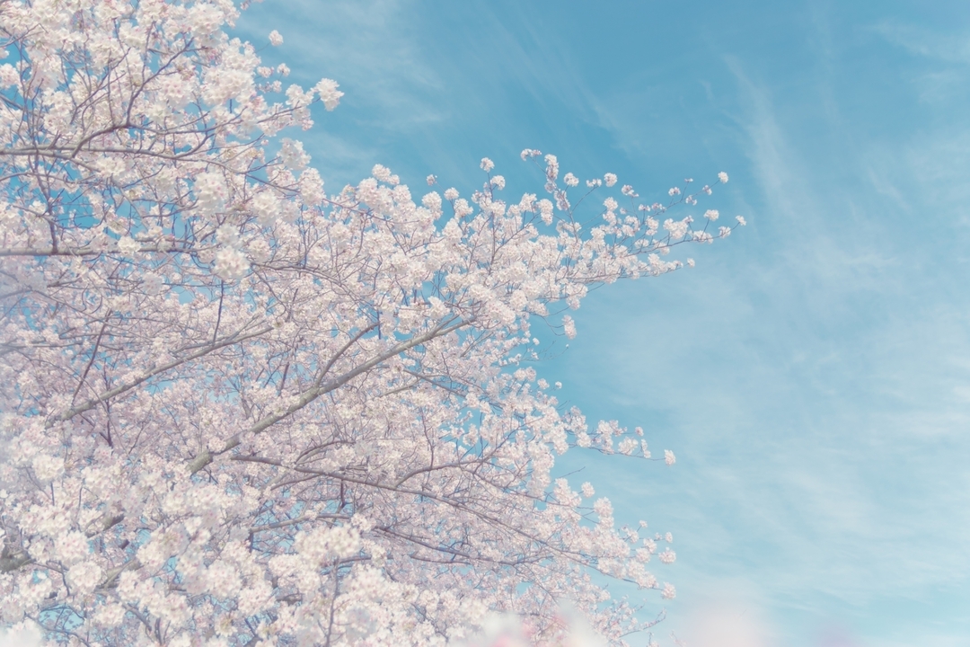 Thumb 6f6acaf5 9375 4f91 b791 a088232258c1