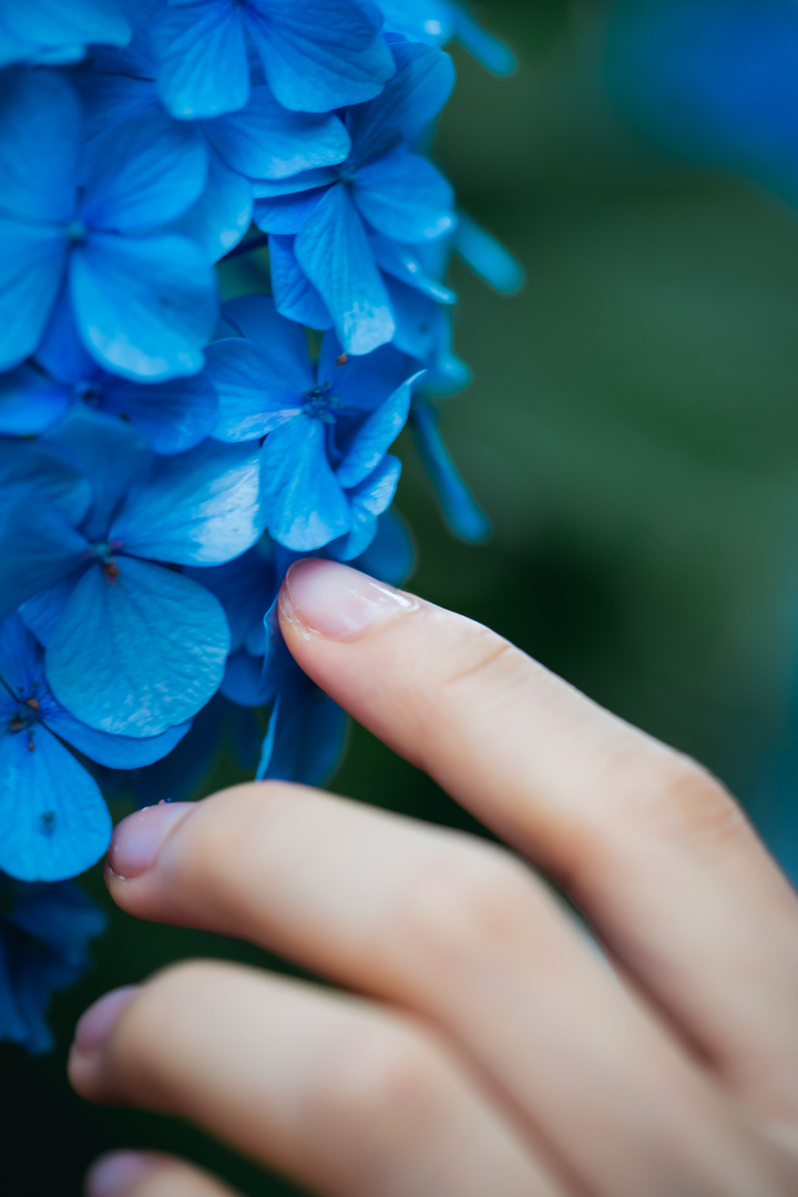 Thumb 2eb46013 6ed0 4c84 87b7 b5c0c0f6b23b