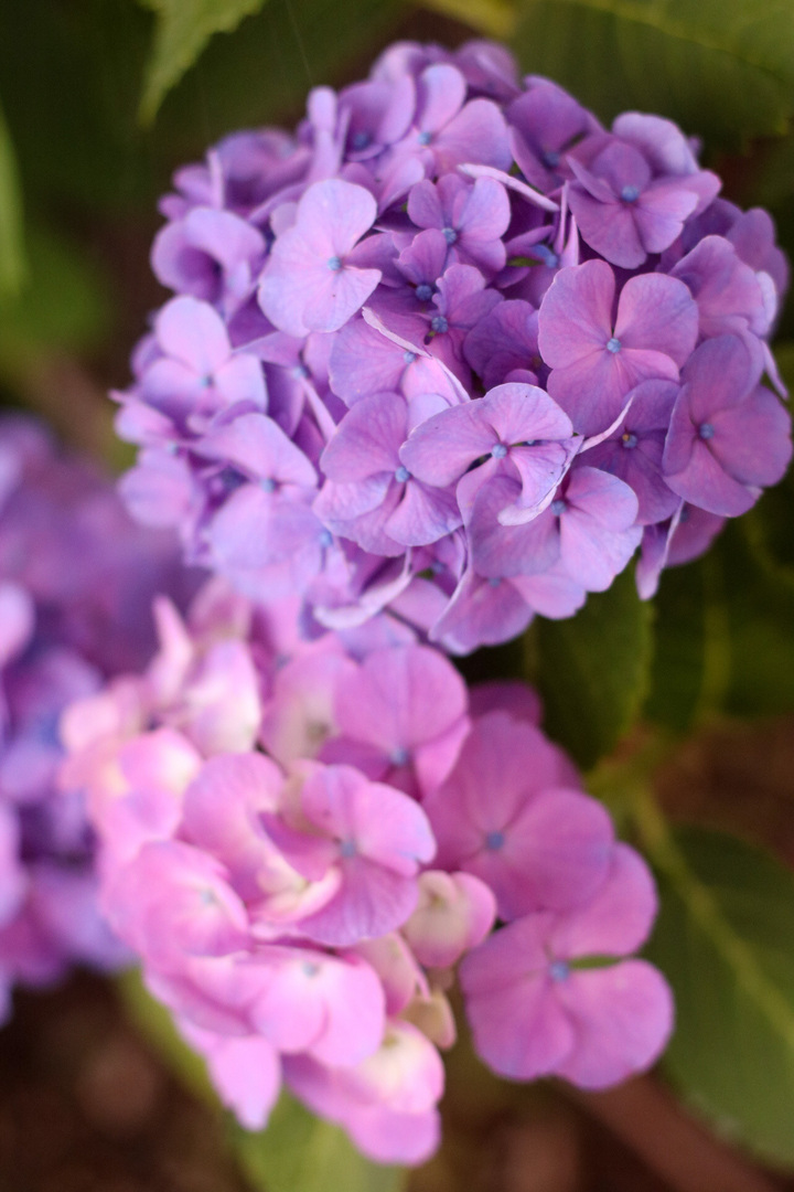 Thumb ad4a616a d0cb 47e2 9b64 3c66cd60ff37