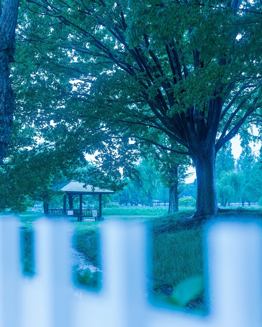 Thumb 69bdf4a1 9ef7 4737 ad17 b3312abdee00