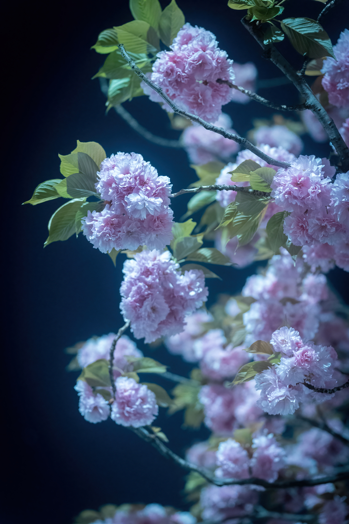 Thumb d075c7f2 2013 4c73 bb70 35a76630421b