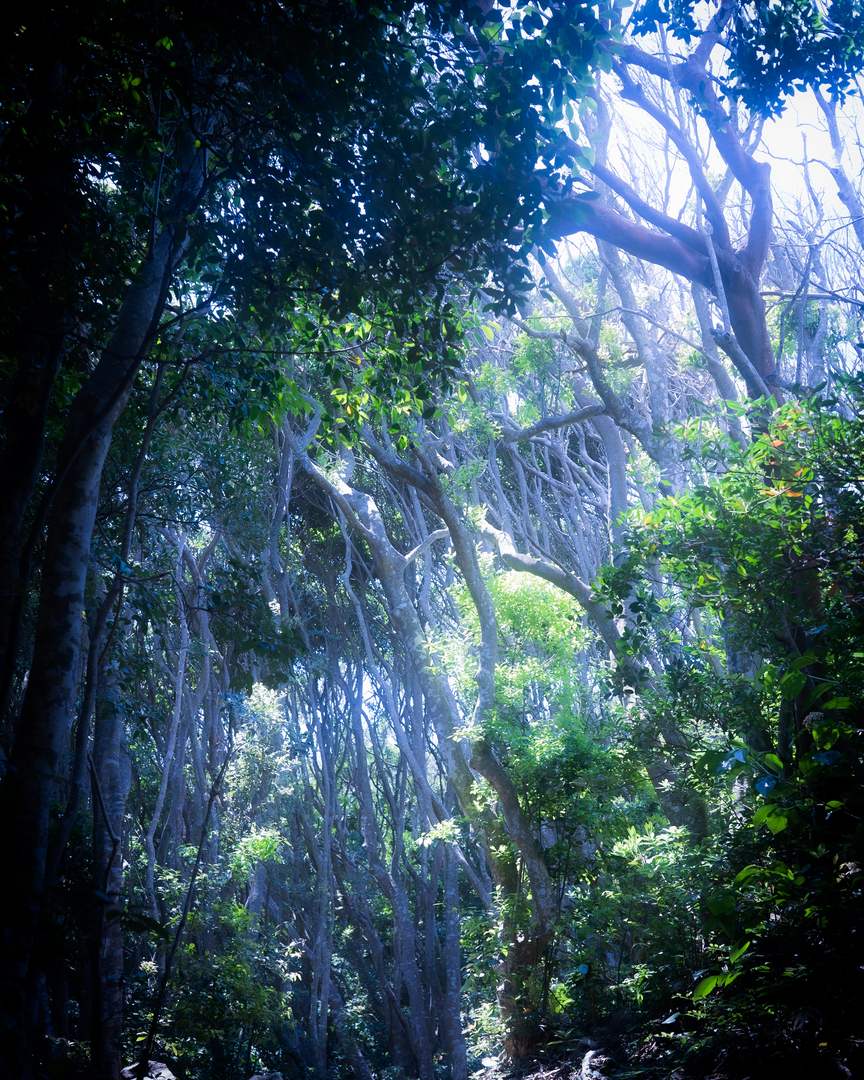 Thumb 19c029ea 5157 424e 8f4f 9fd30b4db3bb