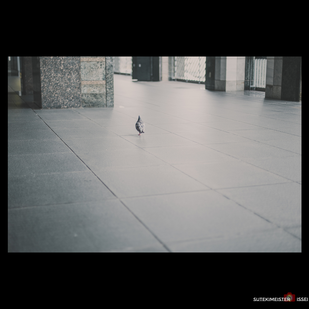 Thumb e12db90f 5e8d 4524 9036 c02b4455cfd7