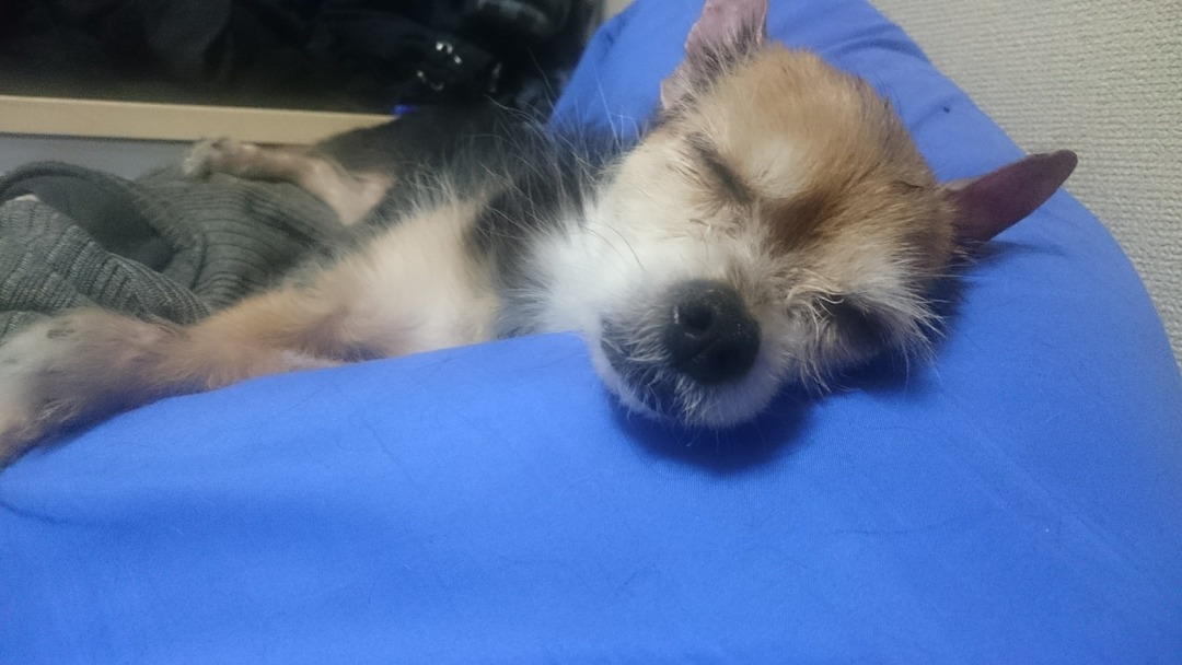 Thumb 868e396d 4bad 4d7f b516 62c8fb5590b0