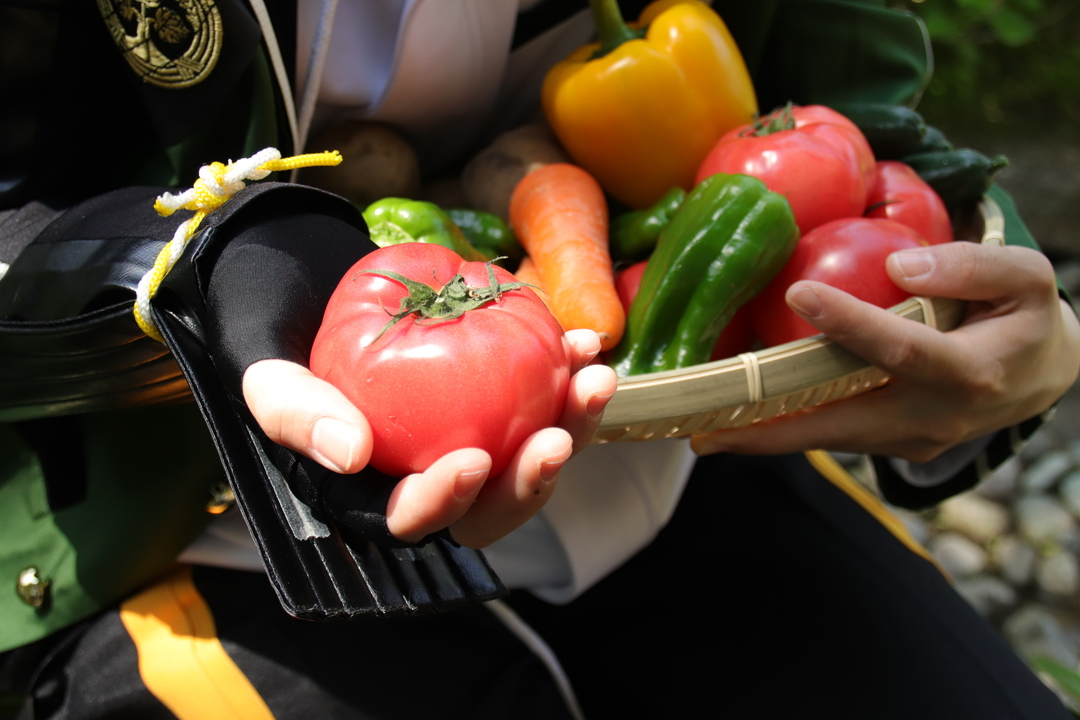 Thumb d63b3566 1023 4dc2 b599 68dbb403a17b