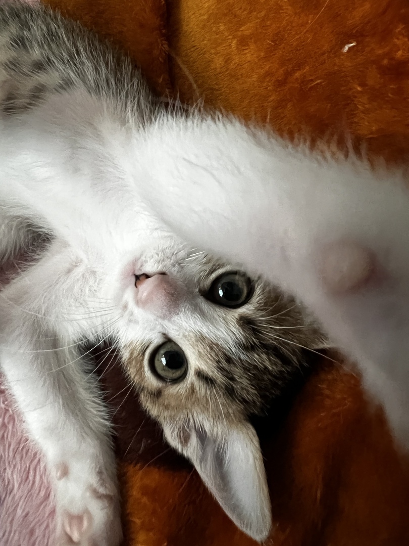 Thumb 5f085923 8df2 4ce7 9d9b 55fab9c1c399