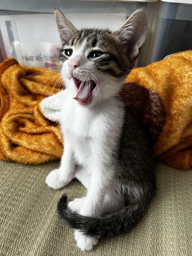 Thumb 1d362495 b452 463e b7cd 9e1a1ebd9bab