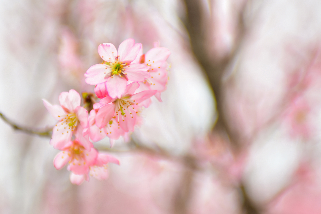 Thumb 7ff371c8 7394 4a02 a5b4 5b58c7f4f623