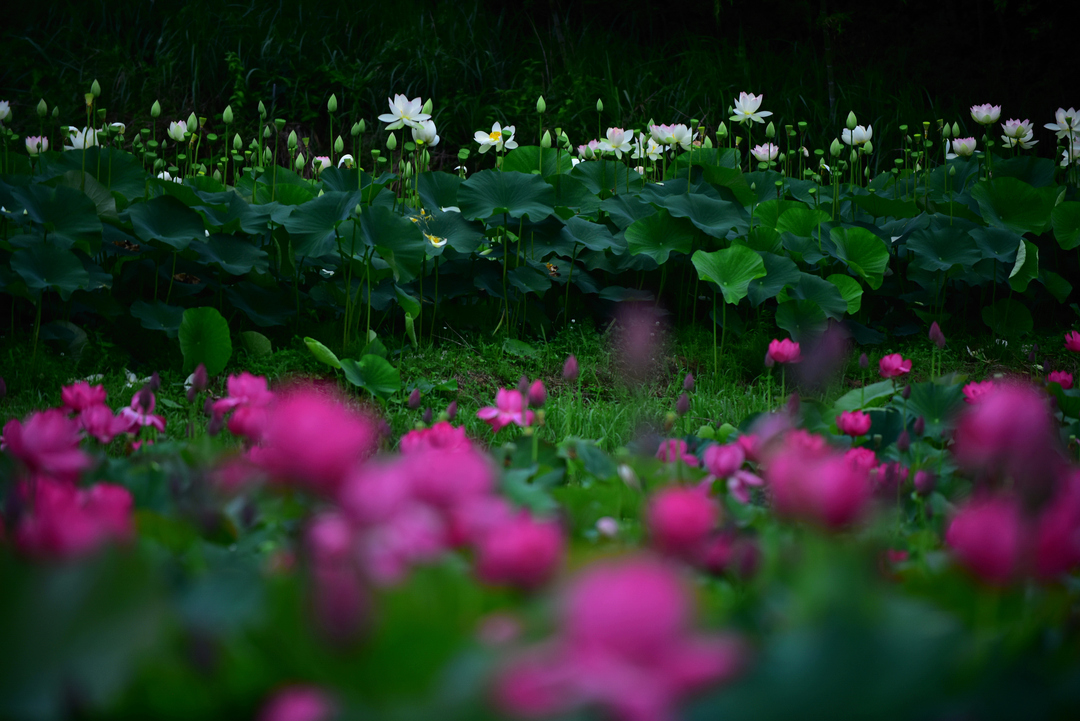 Thumb cad8e9fc efaf 409f 98de 7546673325e2