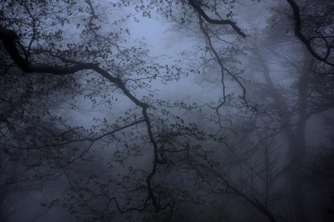 Thumb 2278b1ee 54f8 439e a139 c030ddc819d4