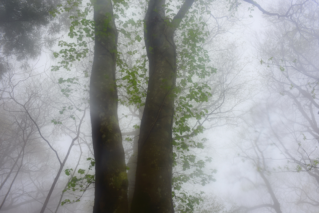 Thumb 6b1e231b 9cc8 4aa1 80ce a348490911cb