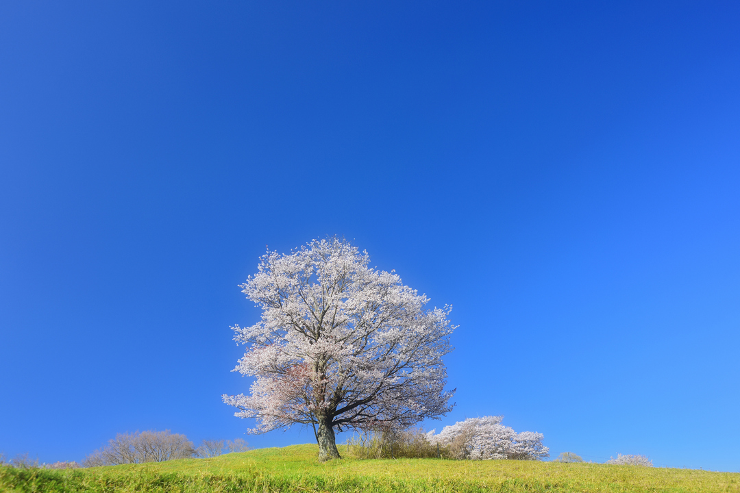 Thumb 7a4321ab ff3d 4c45 a7d3 ca4543d50e25