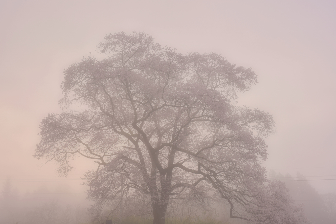 Thumb 3473a927 95c9 4f99 bd68 3cc988e8abfc