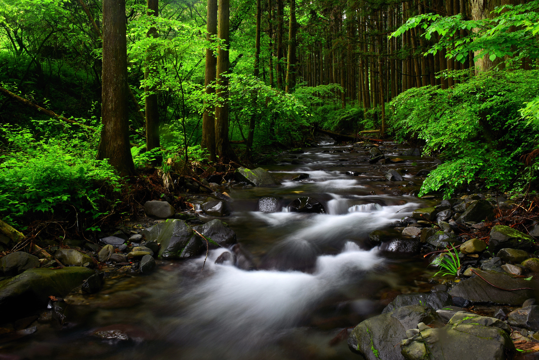 Thumb c547931b 5a9e 447c 8c79 304c3925fe91