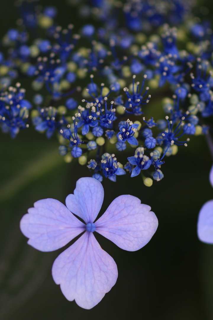 Thumb 4ef514a8 7fea 4867 b4c3 d6b7b0bb67d7