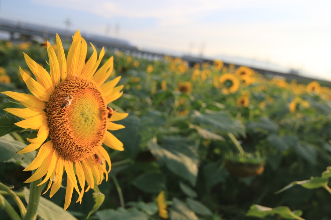 Thumb 2d1397c8 6352 4ab6 8876 7b3a1f8ad844