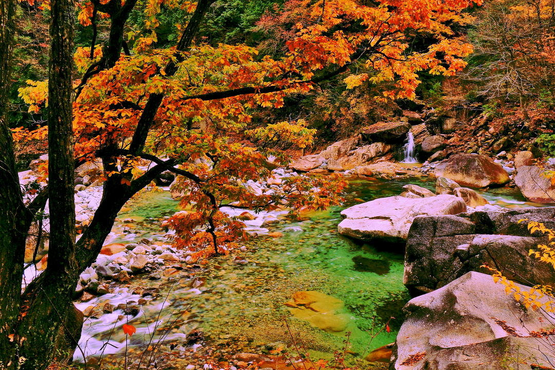 Thumb 7b93df8d c22b 450f a947 e8f2250c328c