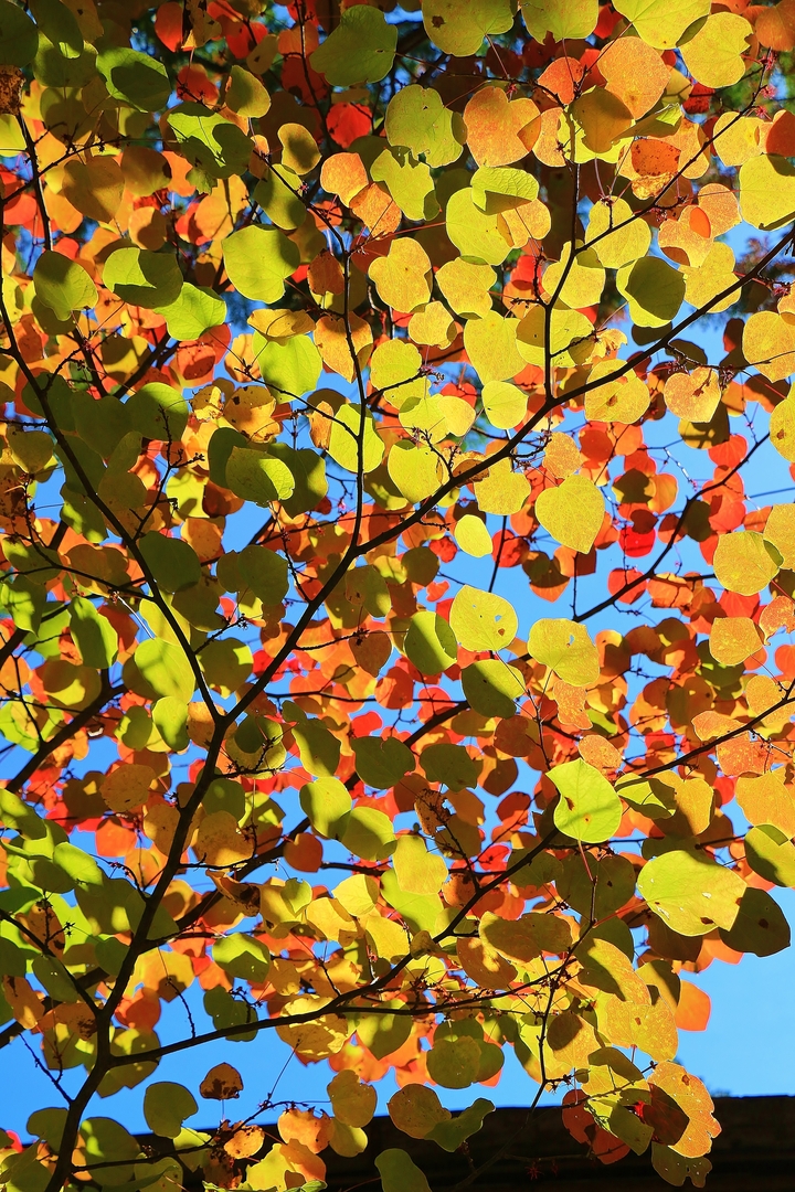 Thumb c6968ff6 bab7 415f bfed 983a18c91ff5