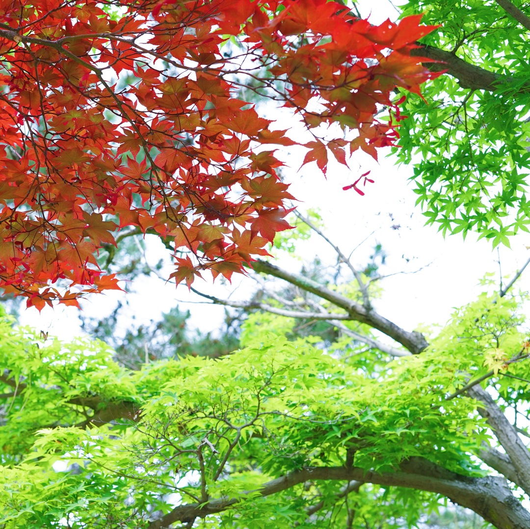 Thumb 7b1b4bcd e825 427f bbd5 7cfc7f654fc0