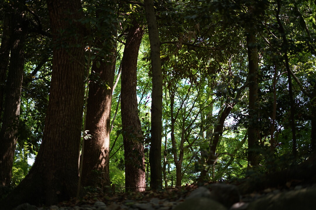 Thumb 2d9ea17d e5ed 4ca6 b327 2287805c87d1