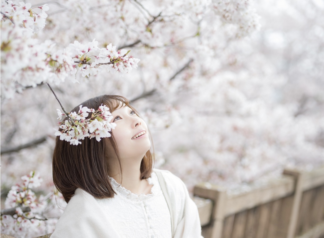 Thumb 1a61562f 68ea 46d2 afaf 086b338f889c