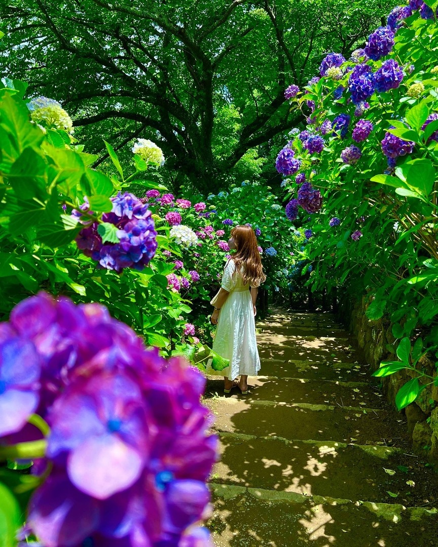 Thumb caf4ef55 099f 444c a527 b2701b502031