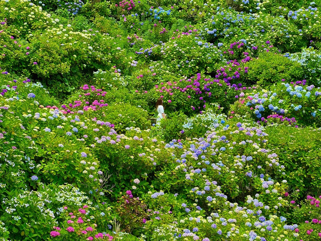 Thumb 8a508f23 aa61 410c bd56 6b1e3d5299cf