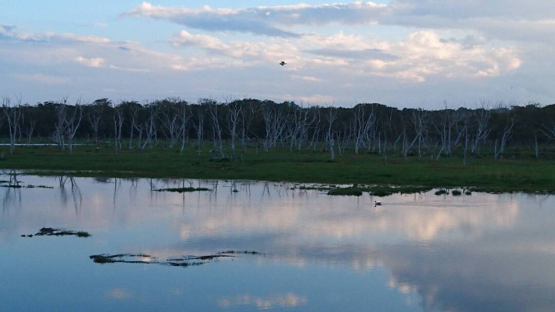 Thumb 329af2fc 3836 4342 a4cf d9f9ac8a629c