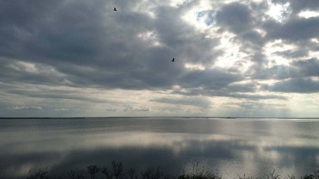 Thumb d0cbb055 50ad 49ad 853b 420a2c34ff03