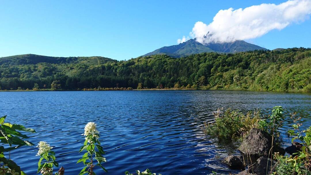 Thumb a72d7a8d a0b0 44a6 a69e e986861a2cad