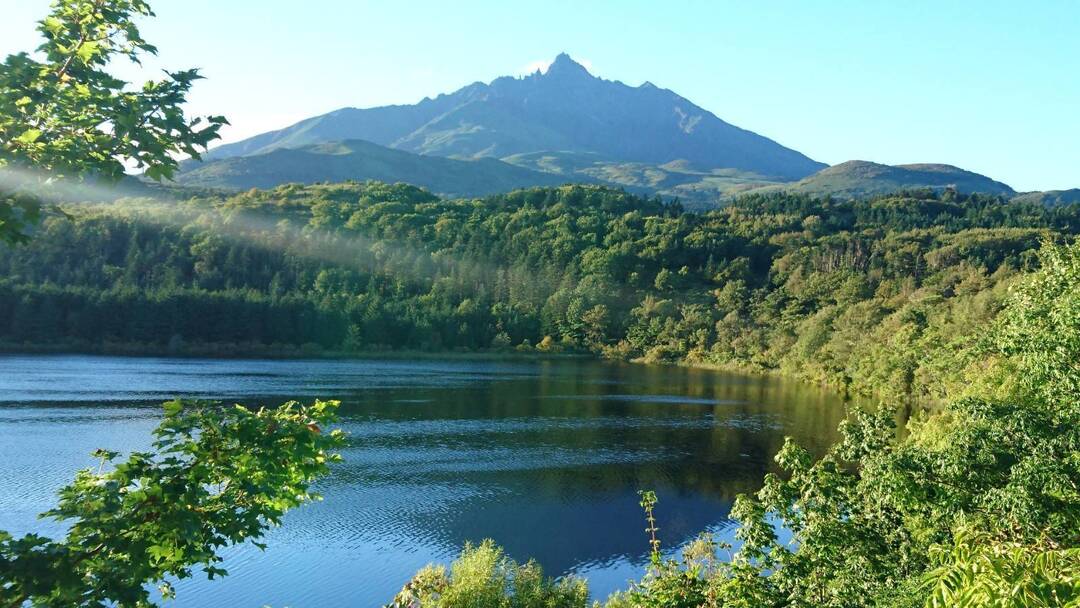 Thumb 6bd102cd 1154 4926 9374 5581460fa945