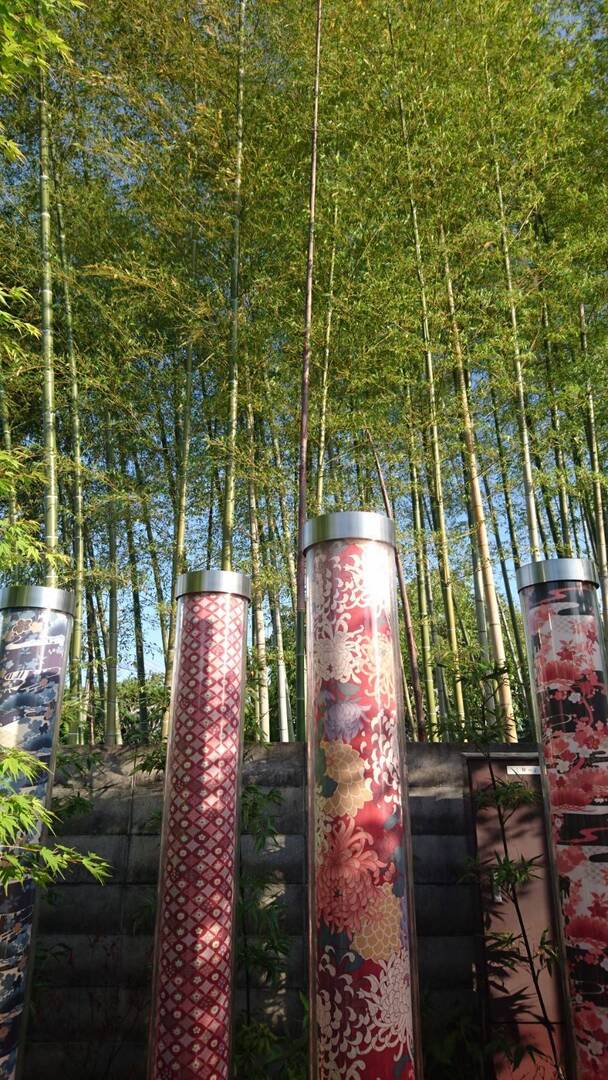 Thumb dc2e27a7 49d8 45c0 a206 129e7ce29d45