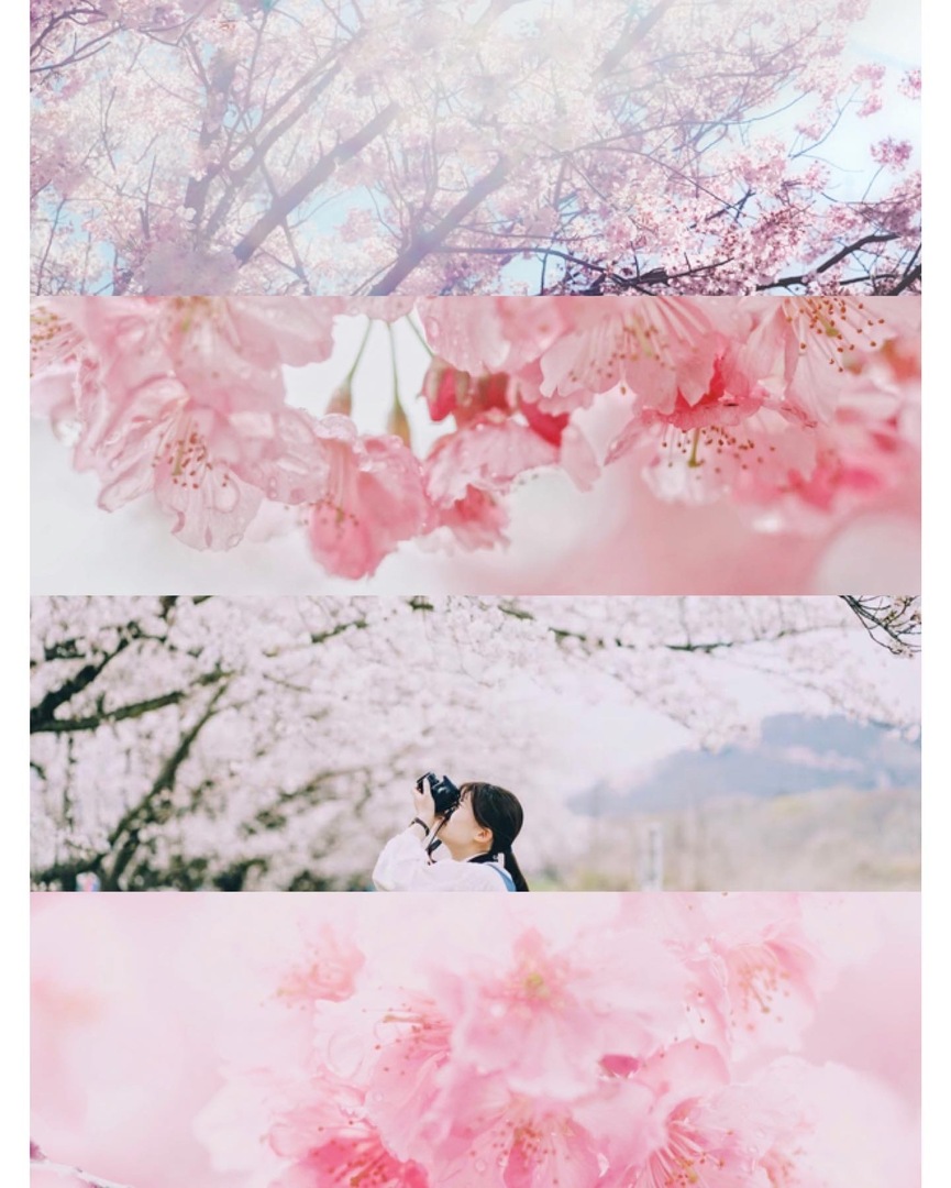 Thumb 0e2922e8 e6c3 4e3e 8441 b781cfcbc7fb