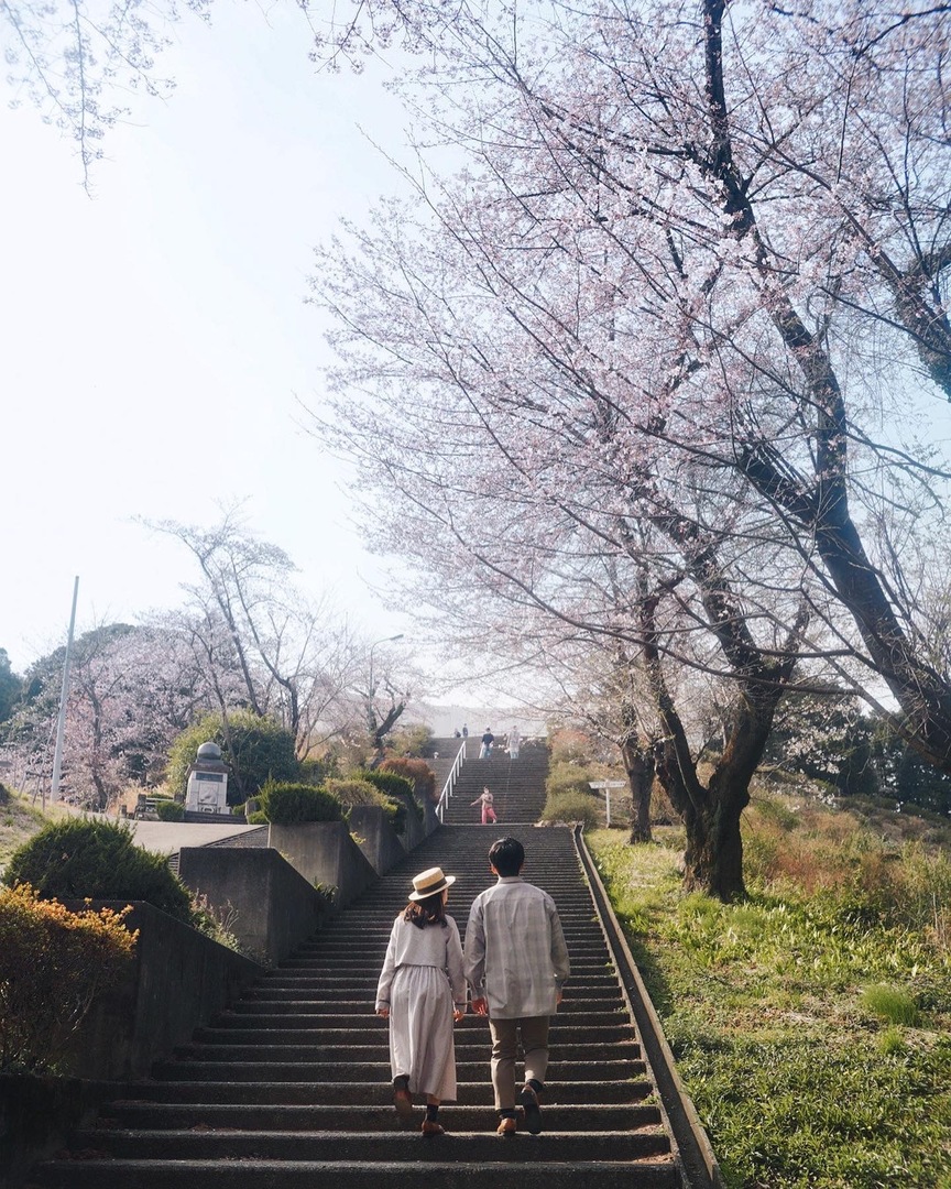 Thumb 10dff5bc fefb 4200 a237 fd12d7c38ace