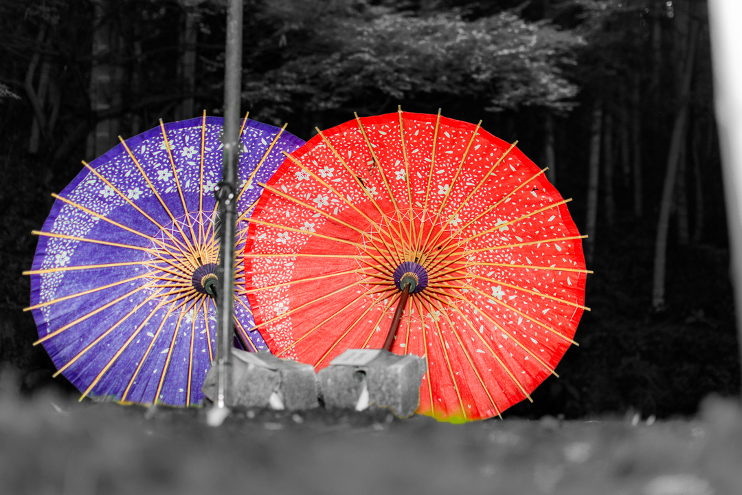 Thumb 223086c5 f61c 4952 9e7b cd31fb1beb20