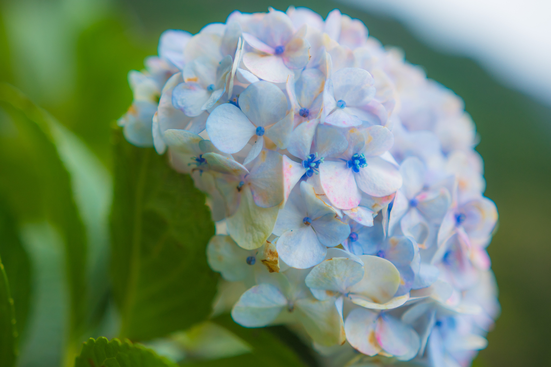 Thumb f7ff49f0 1b3c 4ace 9349 bf7d825888be