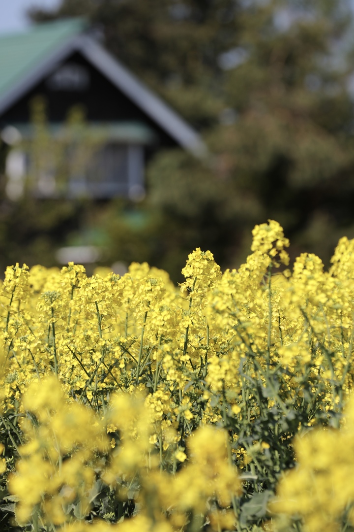 Thumb 50c49130 76f2 4037 bfd1 1b48abdfed8e