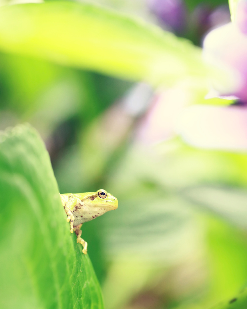 Thumb 69791bc3 7f8d 47ee 93f7 6ddfeab7f5bd