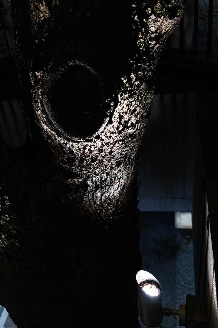 Thumb d2b9a32c 6441 405b a1ee c6ec5108ccef